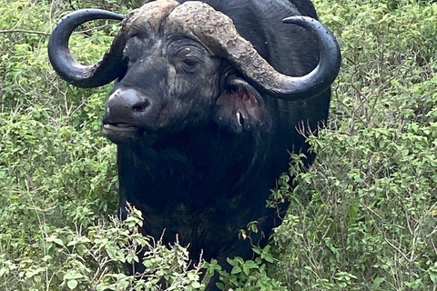 Nairobi: Lake Nakuru National Park and Lake Naivasha Tour