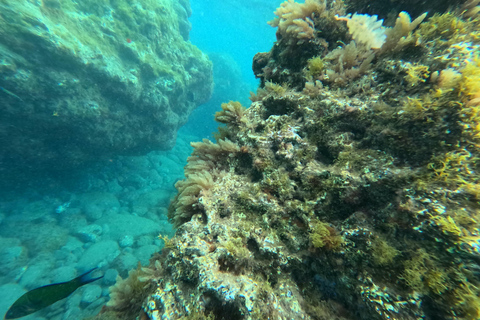 Visite guidée en kayak et plongée en apnée (Las Playitas)