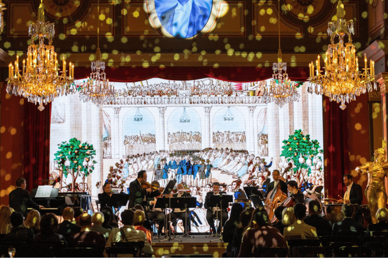 Vienna: concerto di Strauss dal vivo con cantante, orchestra e spettacolo di luciCategoria VIP: 1 - Seconda fila (incluso libretto del programma del concerto)