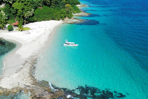 Panama City: Experience the best whale watching in Las Perlas Panama City: Experience the Best Whale Watching in Las Perlas
