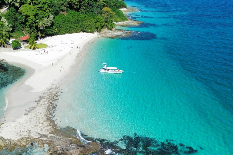 Panama City: Experience the best whale watching in Las Perlas Panama City: Experience the Best Whale Watching in Las Perlas