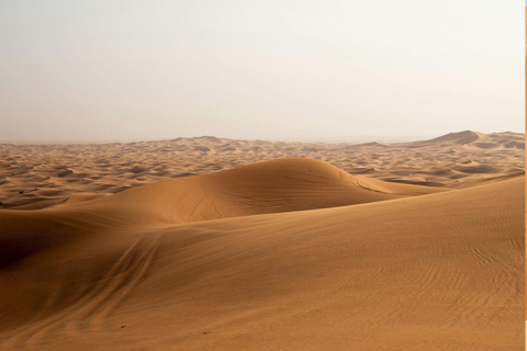 Doha:Inland Sea Guided Tour with Local Expert & Refreshments