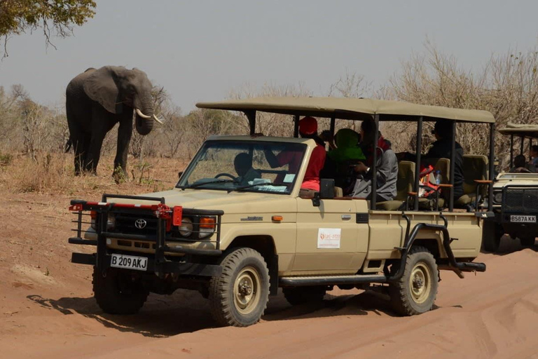 From Kasane: Chobe NP Safari & Namibia Impalila Island Tour