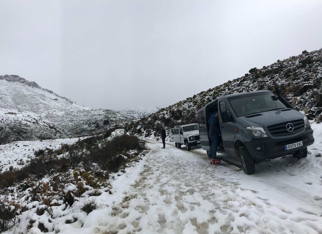 Fra Granada: Sierra Nevada Safari Tour til 2500 meters højde