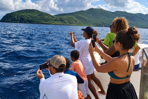 Martinique: Dolphins & Coral Reefs Tour Martinique: Dolphins & Coral Reef Tour.