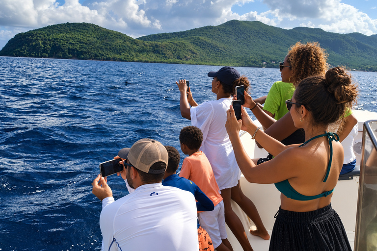 Martinique: Dolphins & Coral Reefs Tour Martinique: Dolphins & Coral Reef Tour.