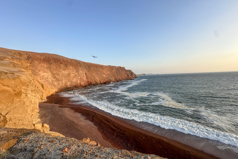 Paracas: Sightseeing Tour of the Ballestas Islands and National Reserve