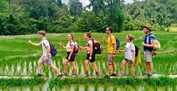 Chiang Mai: Jungle Trek, Elephants care & Bamboo Rafting