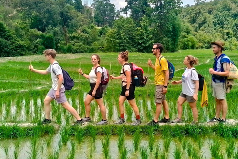 Chiang Mai: Jungle Trek, Elephants care & Bamboo Rafting