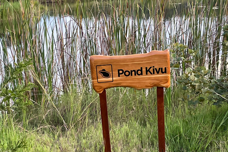 Kigali: City Tour, Nyandungu Eco Park, and Lunch