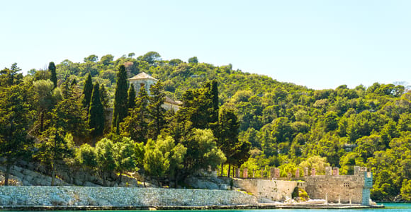 Dubrovnik: Mljet Island Day Trip on a Speedboat