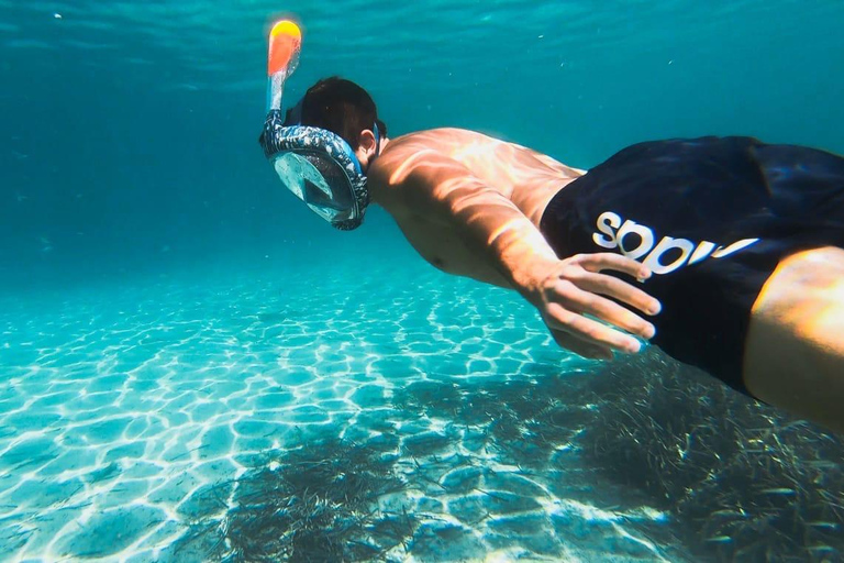 Golfo Aranci: Kayak Tour with Dolphins and Aperitif Morning Experience with Aperitif and Dolphins