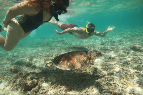 Gili Islands: Snorkeling Sharing Group Tour with Photos