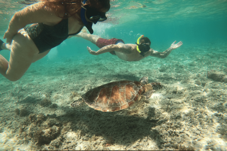 Gili Islands: Snorkeling Sharing Group Tour with Photos