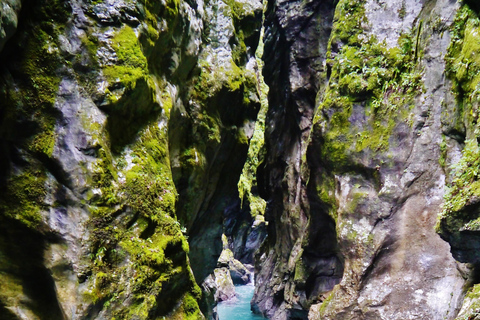 Privado: Aventura en las cataratas de Damajagua con caminata por la selvaPrivado: Aventura en las cascadas de Damajagua con caminata por la selva