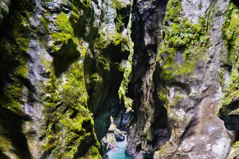 Privado: Aventura en las cataratas de Damajagua con caminata por la selvaPrivado: Aventura en las cascadas de Damajagua con caminata por la selva