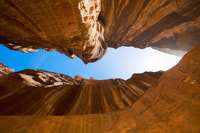 De Petra, Petra Day Tour - Housity
