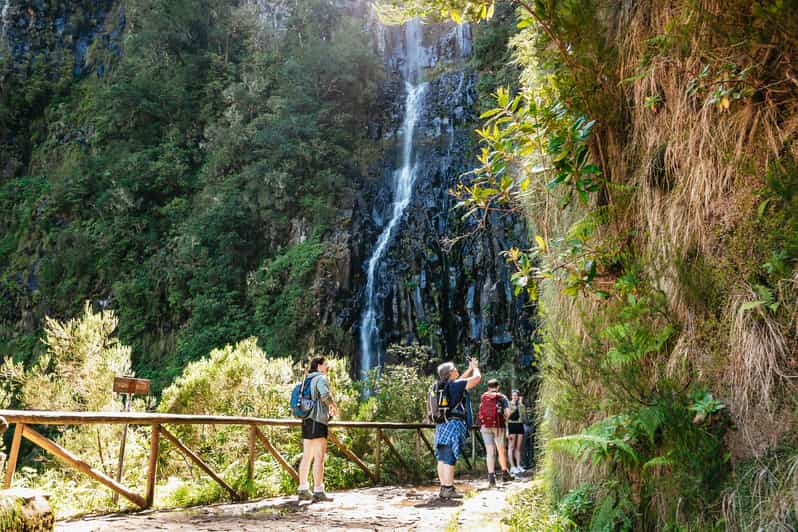 Madeira: Enjoy a Guided Levada Walk in the Rabaçal Valley | GetYourGuide