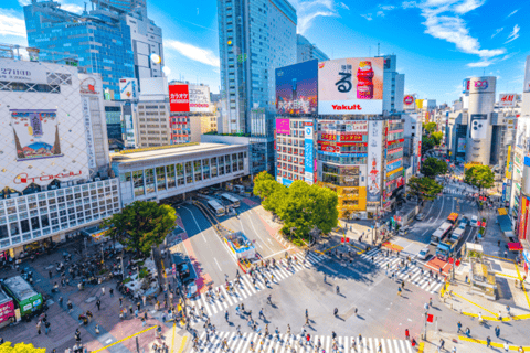 طوكيو في أي مكان تريد! جولة مخصصة في طوكيو في 3 ساعات