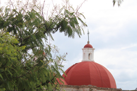 Oaxaca: Hierve el Agua, Tule, Mitla & Mezcal Full-Day Tour.
