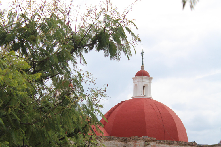 Oaxaca: Hierve el Agua, Tule, Mitla & Mezcal Full-Day Tour.