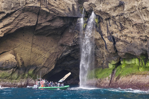 Trip to Vulcanic Corvo Island Including Island Sightseeing