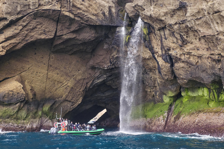 Trip to Vulcanic Corvo Island Including Island Sightseeing