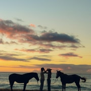 Bali: Sunset Beach Horse Riding
