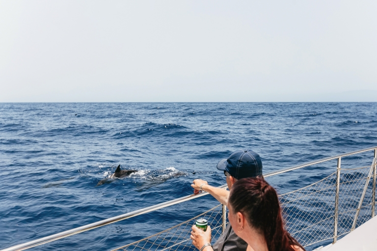 Ténérife : observation des baleines en catamaranExcursion de 3 h pour observer les baleines avec snorkeling