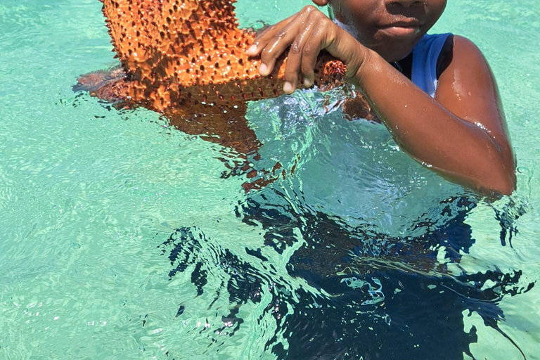 Glass Bottom Nylon Pool Tour in Buccoo Reef