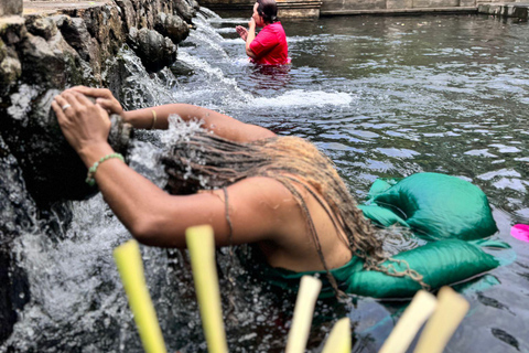 乌布猴林、梯田、秋千、寺庙和瀑布乌布猴林、水稻梯田、秋千、寺庙和瀑布