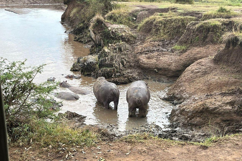 Nairobi: 3-Day epic trip to Maasai Mara Reserve with meals 3 days, 2 nights private safari to Mara in a tourist VAN