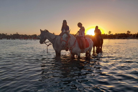 Djerba: Crossing the Lagoon on Horseback at Sunset Djerba: Horseback ride across the lagoon at sunset