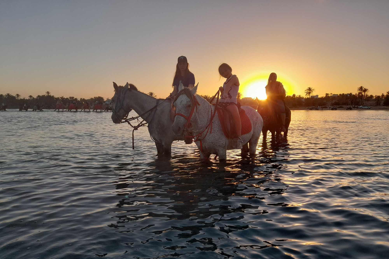 Djerba: Crossing the Lagoon on Horseback at Sunset Djerba: Horseback ride across the lagoon at sunset