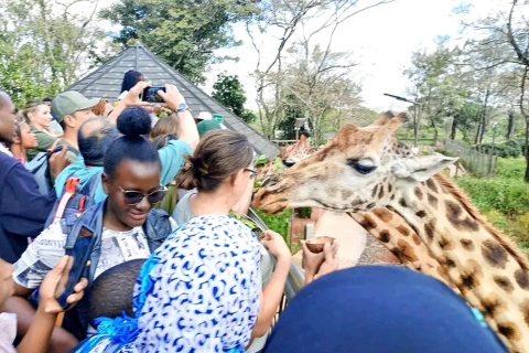 Sheldrick orphanage,Giraffes centre and Bomas Free Tour Sheldrick animal orphanage Tour.