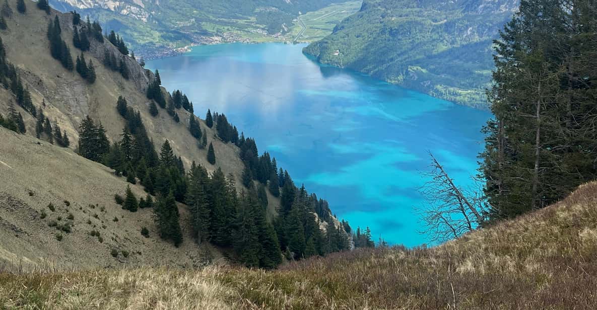 Afbeelding 8 van Interlaken: Top de Augstmatthorn met een Zwitserse triatleet