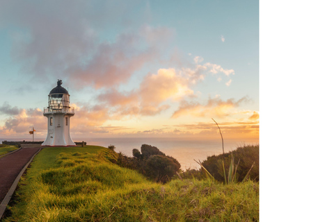 From Auckland: 6-Day Northland Tour with German Guide
