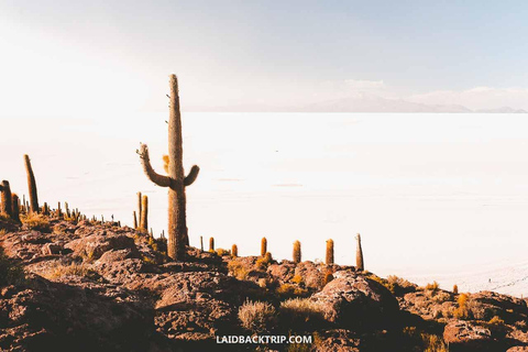 Uyuni: Excursión de 2 días al Salar de Uyuni y al Cementerio de Trenes