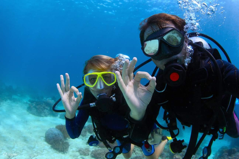 Marmaris/Icmeler: Scuba Diving Experience w/Lunch & Transfer