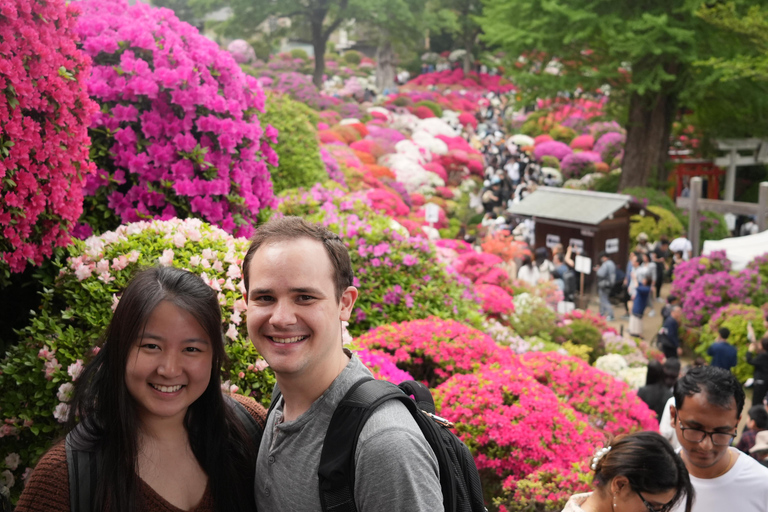 Hilighlight walking Tokyo tour with National Licensed guide