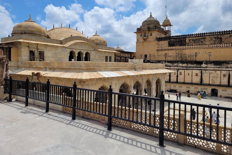 Jaipur : entrée accélérée à Amer Fort et guide/transfert en optionBillet d'entrée seulement