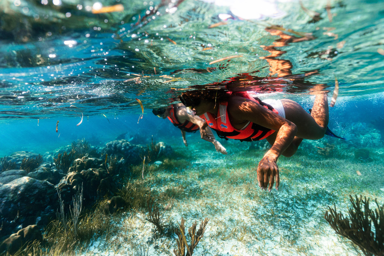 Cancún: Super Combo con quad, tirolinas, cenote y snorkelATV compartido