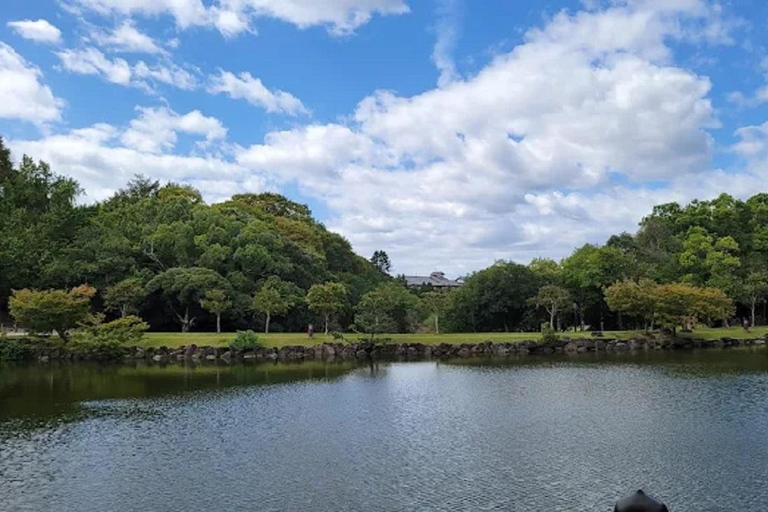 Osaka: Discovering Nara Timeless Grace Guided Tour