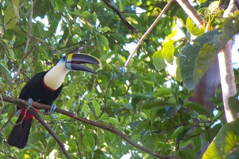 Excursión de 3, 4 ó 5 días al Parque Nacional del Manu