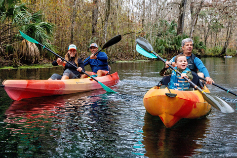 Orlando: Silver Springs Guided Kayak Tour with Shuttle