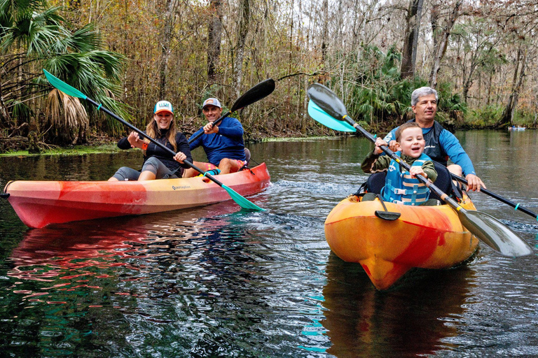 Orlando: Silver Springs Guided Kayak Tour with Shuttle