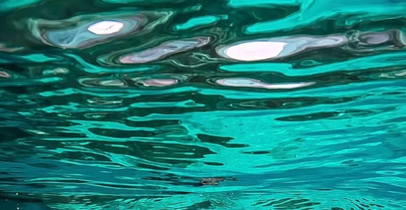 Muscat: Daymaniyat Islands Snorkeling & Turtle Swimming Tour