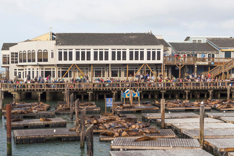 San Francisco City Tour with Bay Cruise Option City Tour with Bay Cruise