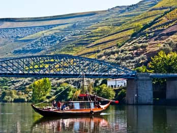 Da Porto: Escursione di una giornata intera nella Valle del Douro