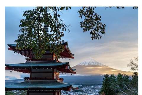 Tokyo: Tour privato di una giornata imperdibile al Monte Fuji e ai laghi